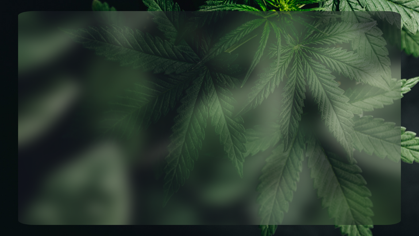 website banner